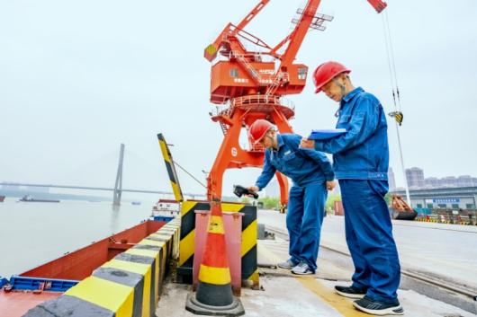 “十四五”国家电网发展成效①：转型发展向新向绿